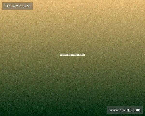 德甲俱乐部欲引进葡萄牙国脚安东尼奥席尔瓦